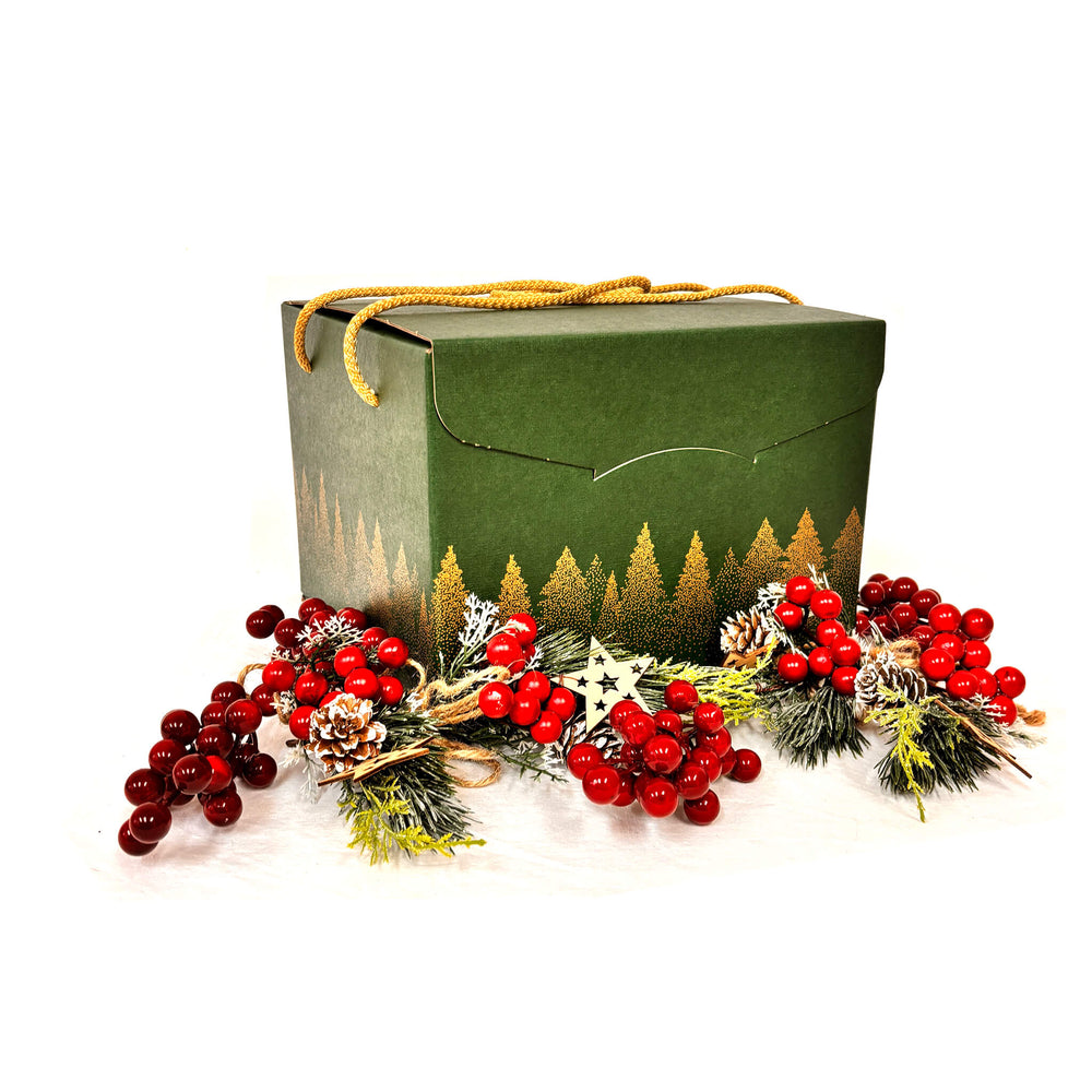 Santa Claus GREEN box