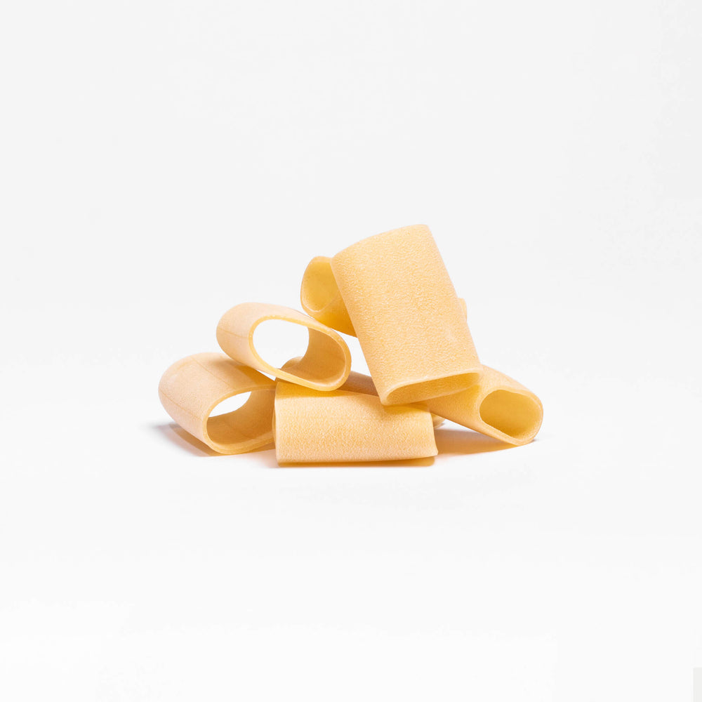 
                      
                        <tc>PACCHERI
organic pasta of ancient Khorasan SANTACANDIDA wheat</tc>
                      
                    